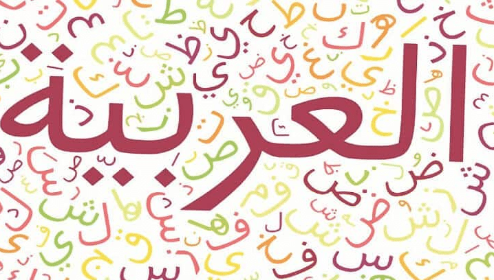 الاحتفاء باللغة العربية