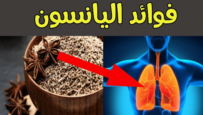 عشبة اليانسون وفوائدها على جسم الإنسان