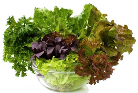 فوائد ومميزات الخضروات الورقية