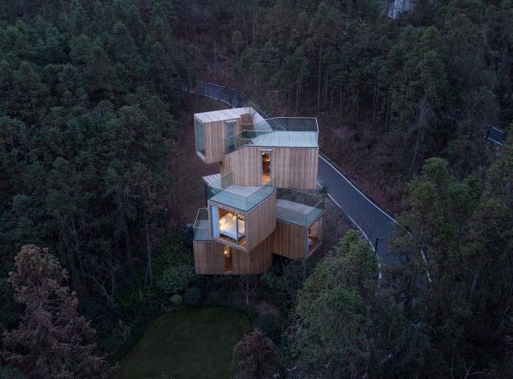 بيت الأشجار