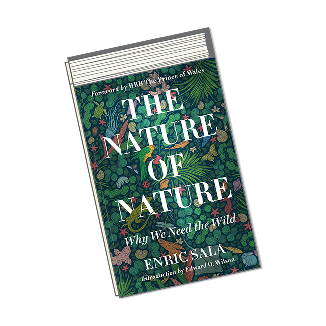 كتب أغسطس-طبيعة الطبيعة