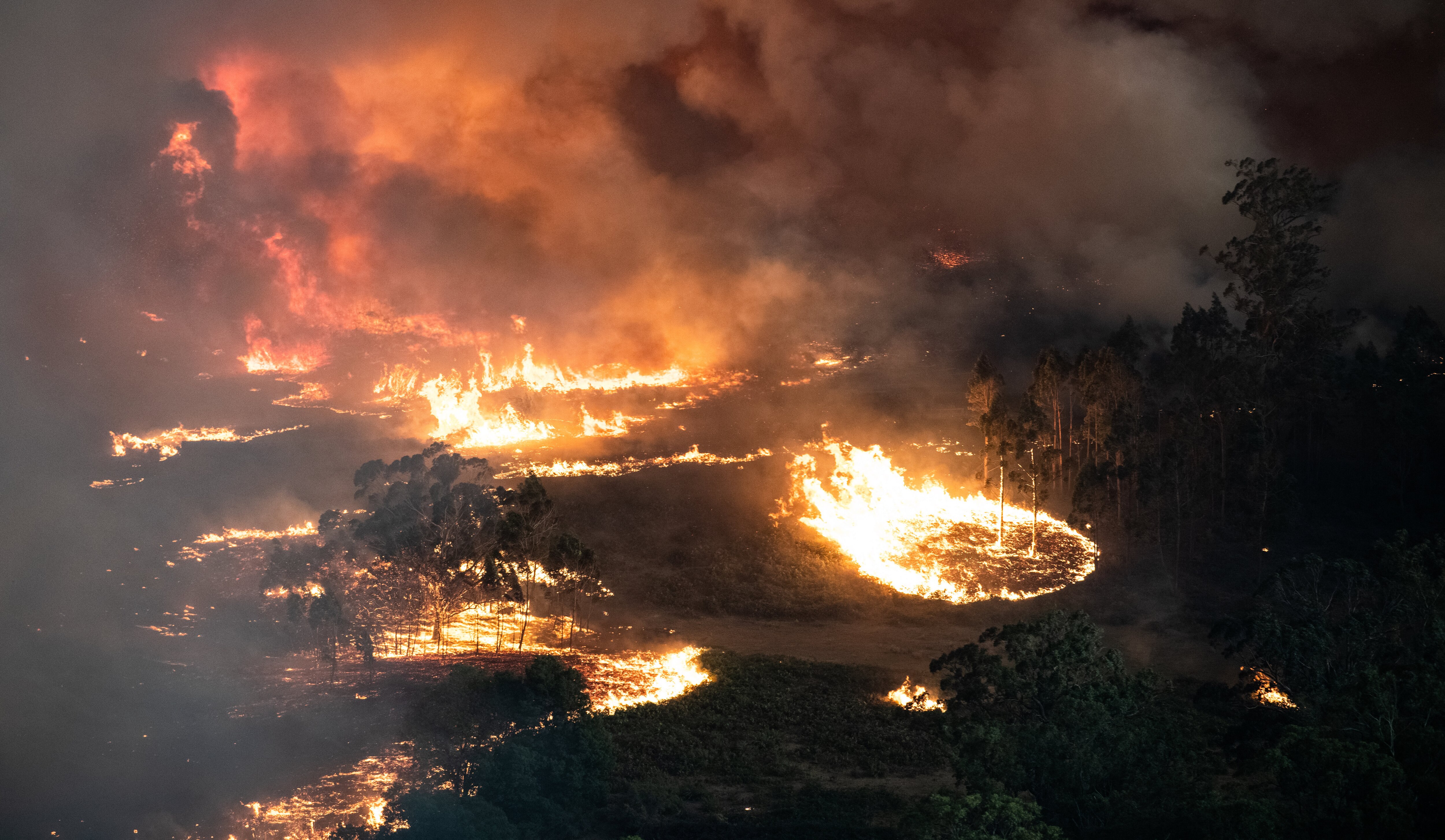 الحرائق تمزق الأدغال في بيرنسديل في منطقة شرق جيبسلاند في فيكتوريا.