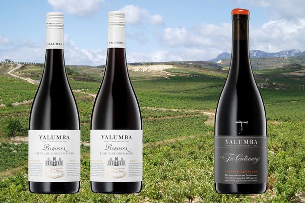 0 Wines Yalumba Sep 3 Online