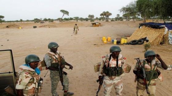 النيجر تشهد هجوم دامي جديد