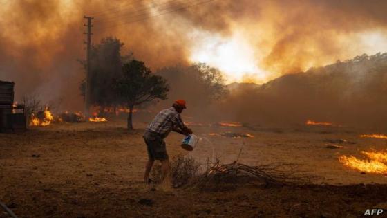 الجزائر حرائق الغابات