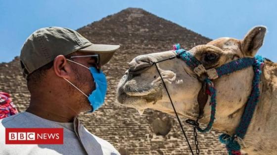 مصر في حاجة ماسة إلى إحياء السياحة