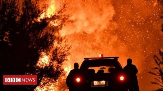 حرائق الغابات في اليونان تخرج عن السيطرة