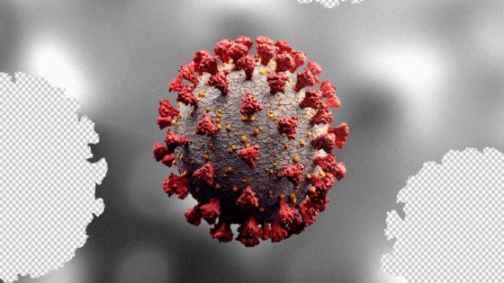 إليك كل ما نعرفه عن مناعة فيروس كورونا حتى الآن