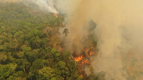 تتزايد حرائق الأمازون البرازيلية ، لا سيما في أراضي السكان الأصليين