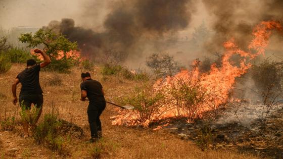 ارتفاع ضحايا حرائق الغابات جنوب تركيا