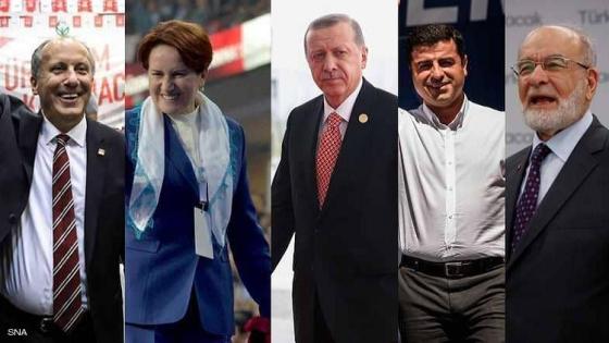تركيا نحو الأردوغانية
