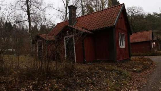 غادر هذا الرجل المدينة ليعيش حياة أبسط في كوخ الغابة في شمال السويد