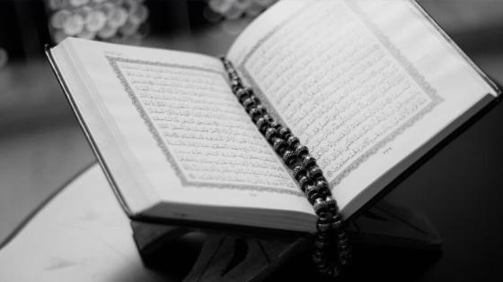 الصفح الجميل في القرآن الكريم