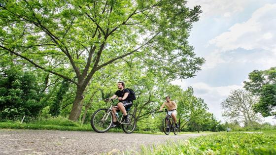 منطقة نياجرا في أونتاريو تشهد عودة ركوب الدراجات والشلالات