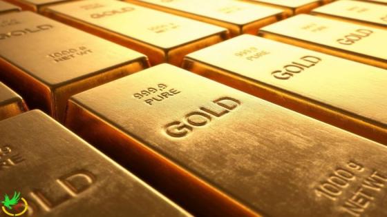 سعر الذهب هذه اللحظة في مصر