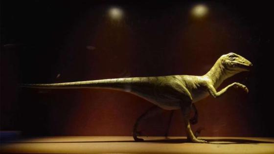 العثور على هيكل ديناصور في صحراء ليبيا يعود لملايين السنين.. صورة