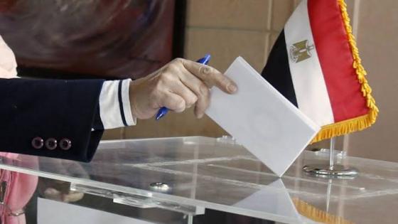 كيف يشارك المصريين بالخارج  في انتخابات مجلس الشيوخ
