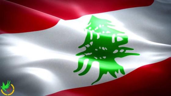 الحكومة اللبنانية تطلق دورة تراخيص