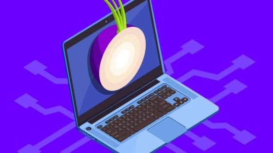 Tor والتصفح المجهول – ما مدى أمانه؟ – الأمن العاري
