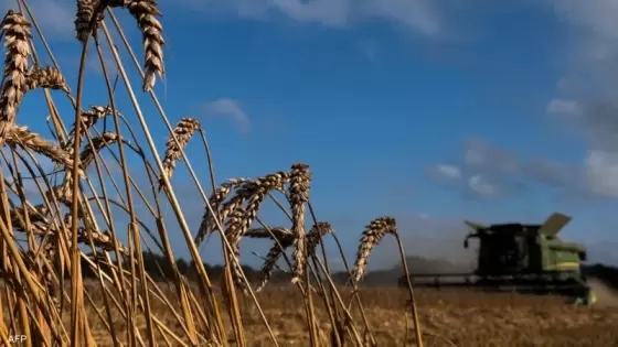 أزمة غذاء عالمية غذاء العالم