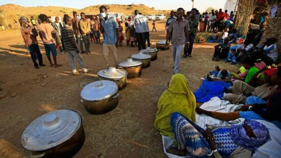 إثيوبيا: نزوح بعض اللاجئين إلى مصر هو أمر مؤقت
