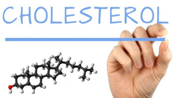 ارتفاع الكوليسترول ... أسبابه وأضراره
