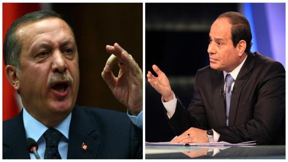 وزير الخارجية المصري يرد علي اردوغان بعد هجومه علي السيسي