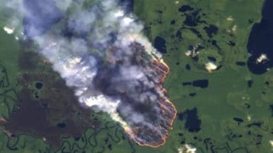 حرائق الأمازون هذا العام قد تكون أفظع
