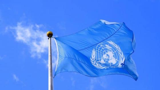 الأمم المتحدة تطالب فرنسا بسحب “المادة 24”