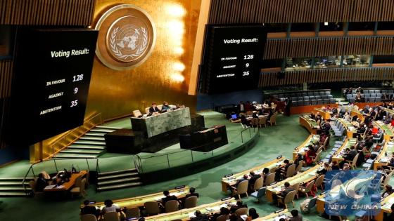 السائد في كل القضايا تهميش الأمم المتحدة والشرعية الدولية