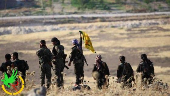 التحالف يساعد في تمويل الوحدات الكردية