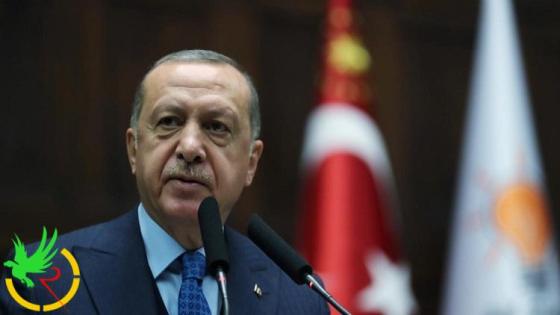 أردوغان يؤكد دعمه للشعوب العربية