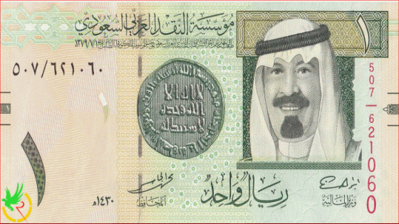 الريال السعودي في البنوك