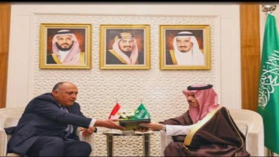 السعودية تدعم مصر في ملف سد النهضة