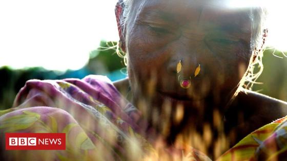 حفظ أصناف الأرز التقليدية في الهند