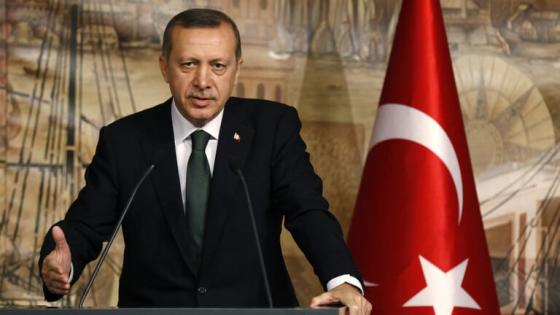 أردوغان: قوة تركيا تحدد التوازنات الدولية