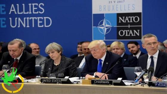 رهان تركي صعب.. التحالف مع «الناتو» وروسيا معاً