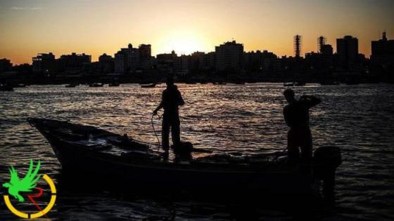 البحرية المصرية تحتجز صيادين من غزة