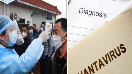 فيروس هانتا hantavirus القاتل الذي ظهر مؤخراً في الصين