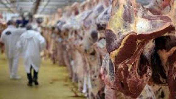 مصانع اللحوم البرازيلية مرتبطة بانتشار فيروس كورونا