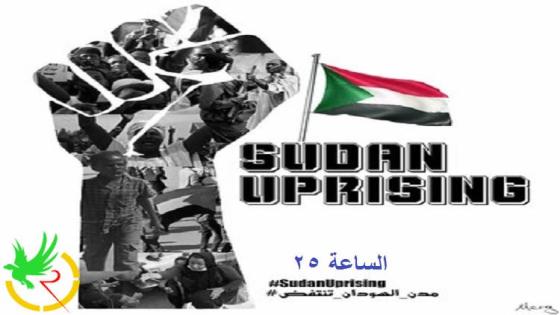 قوى الحرية والتغيير تدعو لمليونية في السودان