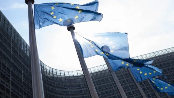 حليف ماغنتسكي: السياسة الخارجية للاتحاد الأوروبي “اختطفتها” المصالح